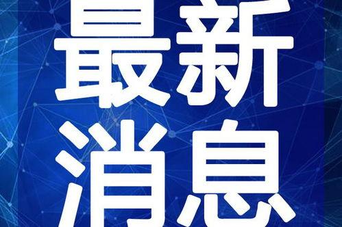 爆料王菲打牌视频大全最新,揭秘天后打牌视频大全幕后故事 第3张 爆料王菲打牌视频大全最新,揭秘天后打牌视频大全幕后故事 第3张